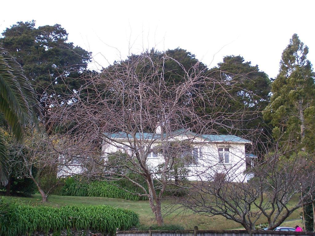 Bed and Breakfast Kauri Nest Вангерей Екстер'єр фото