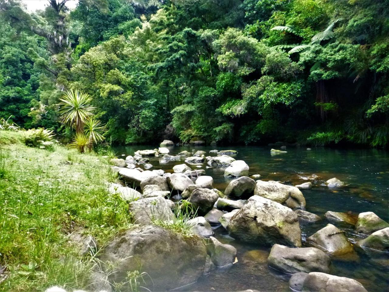 Bed and Breakfast Kauri Nest Вангерей Екстер'єр фото