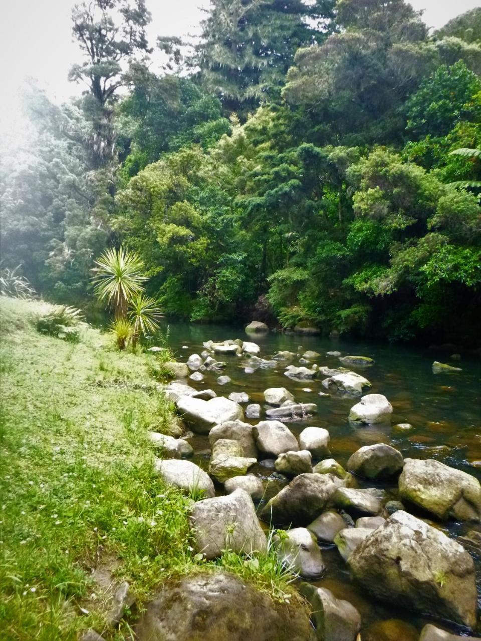 Bed and Breakfast Kauri Nest Вангерей Екстер'єр фото