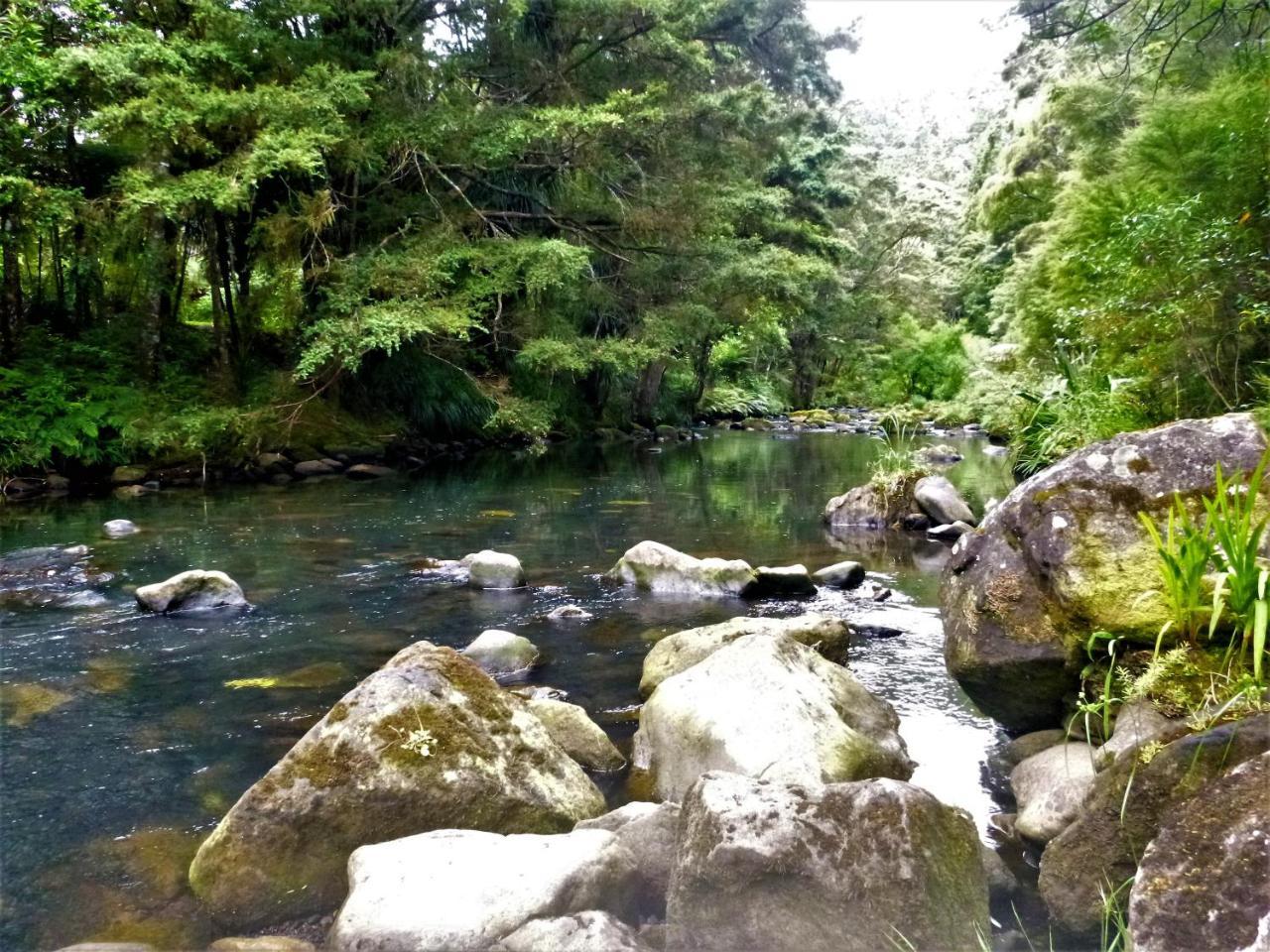 Bed and Breakfast Kauri Nest Вангерей Екстер'єр фото