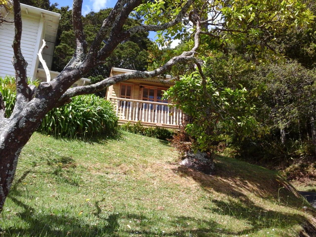 Bed and Breakfast Kauri Nest Вангерей Екстер'єр фото