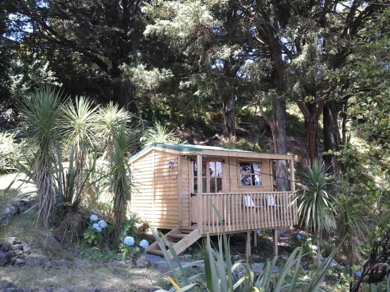 Bed and Breakfast Kauri Nest Вангерей Екстер'єр фото